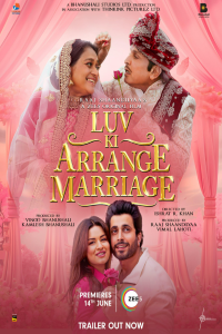 Download Luv Ki Arrange Marriage (2024) Hindi Movie WEB-DL || 480p [400MB]  || 720p [1GB] || 1080p [2GB]